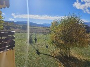 Hélène ♧'s avatar