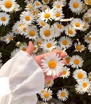 Zoé🧸✨'s avatar