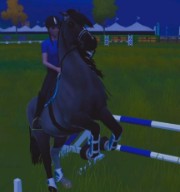 Le Haras du Château Fort 's avatar