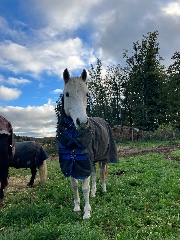 🇫🇷🚀Albane_Jumping🇫🇷🚀's avatar