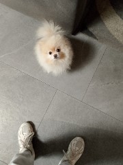 Forza Juve🖤🤍's avatar