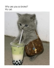 V4L Th3 4LI3N's avatar