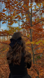 ♡ꨄText.mee.here!ིྀ𓏲's avatar