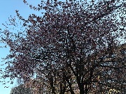 Patricia 🌵🎿🏑's avatar