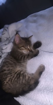 🪩L̶e̶s̶l̶y̶🐆_54's avatar