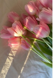 🎀-clean school vibe-🎀's avatar