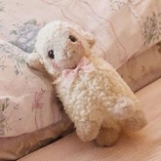  ᭕ Lottie ꧂'s avatar