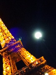 Ananas 🍍's avatar