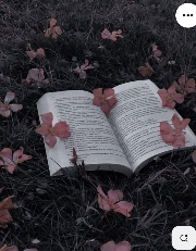 🌸🎀Tessa23🎀🌸's avatar