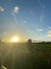 Justacrazugirl's avatar