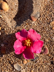 I’m just girl ✨🪩🤍's avatar