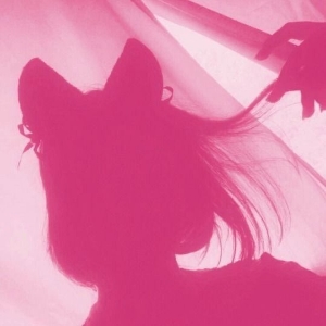 Miss Kitsune 🍥✨'s avatar