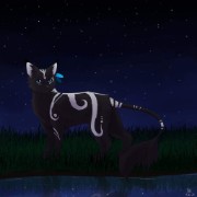 ꧁𝑻𝒘𝒊𝒍𝒊𝒈𝒉𝒕⋆𝑪𝒍𝒂𝒏꧂'s avatar