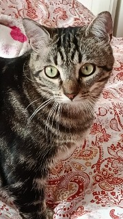 🎀Leana🎀's avatar