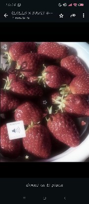 🧸✨🤍🧋Vivi🧋🤍✨🧸's avatar