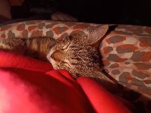 Zoé_eternel's avatar