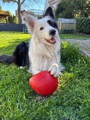 Tipps_mit_Chap's avatar