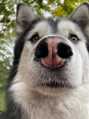 A🪻❤️🌻⭐️'s avatar