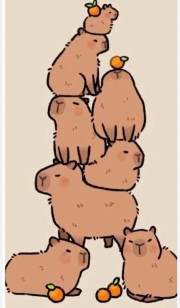 Capybara lovers's avatar