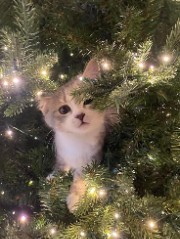 Patrishaa✨️'s avatar