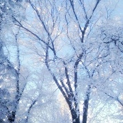 SimplyAesthetic's avatar