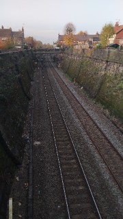 ~✨TROPIC SISTERS✨~'s avatar