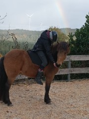 SiggiSnugg 's avatar