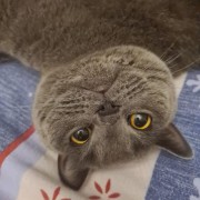 Just a girl's avatar