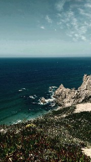 Psicologia inversa❤️‍🩹✨️'s avatar