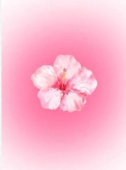 @𝐄𝐥𝐥𝐢𝐞 ♡'s avatar