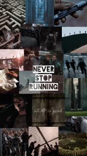 Newtixx 🌺🔥's avatar