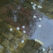 Ships by ³sillies's avatar