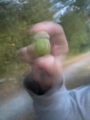 𝖤𝗅𝗅𝗒𝖾🧸's avatar