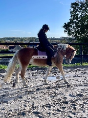 Alice_et_Ginja's avatar