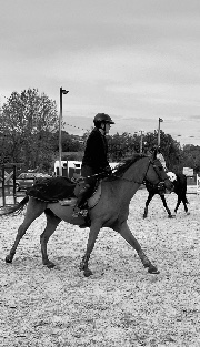 camille_edlm's avatar