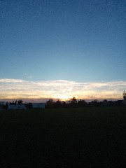 Beauty pearl 🌷🪽's avatar