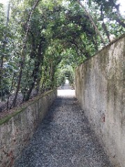 🔮🧴ℕ𝕠𝕣𝕒𝕙🌸🕯️'s avatar