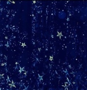 the planet house main q&a!'s avatar