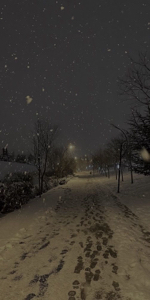 𝗪𝗶𝗻𝘁𝗲𝗿 (𝗰𝗵𝗮𝗶𝗻𝗲)'s avatar