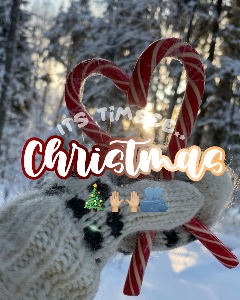 Lulu!🚖❄️'s avatar