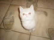 Lisa🫶🏼🏎️'s avatar