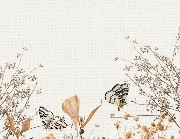 Bronwen❄️🌲's avatar