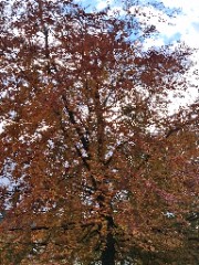 Xxx🥂🎀🎱's avatar