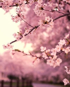 MATIX💛🍉's avatar