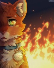 Histoire Manon's avatar