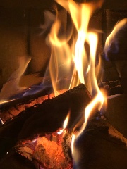 kanaaltjevanmij🦊's avatar