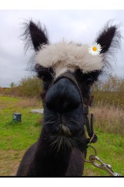 ❤️❤️'s avatar