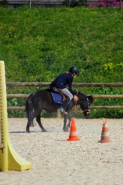 Nayeli_jumping 's avatar