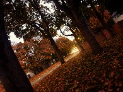 That one autumn channel's avatar