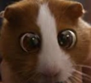 Il mini👽's avatar